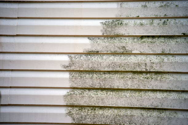 Best Mattress Disposal  in Borden, IN
