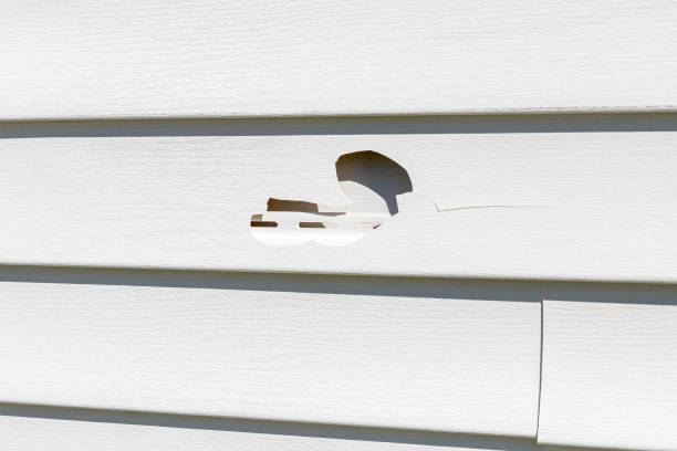 Best Property Management Cleanouts  in Borden, IN