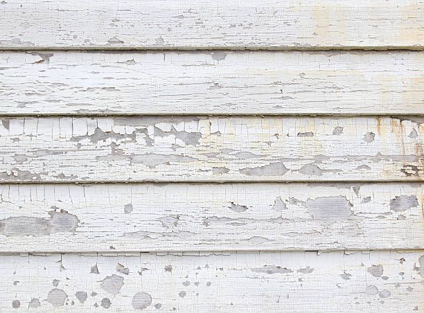 Same-Day Junk Removal Services in Borden, IN