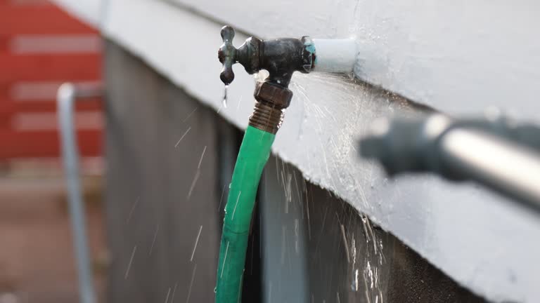Best Shed Removal  in Borden, IN